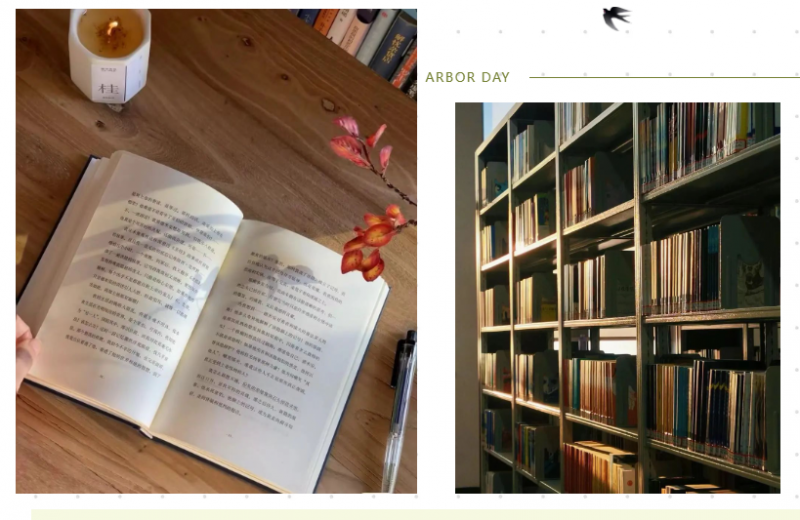 1722855199003.png